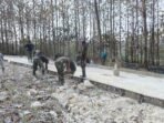 featured-image