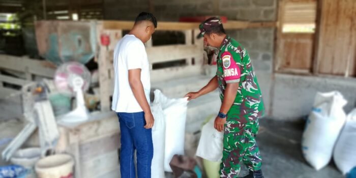 Usaha Penggilingan Padi Mukhtar Berjalan Keliling, Babinsa Pantau Aktivitasnya di Tuwi Kareung Usaha Penggilingan Padi Mukhtar Berjalan Keliling, Babinsa Pantau Aktivitasnya di Tuwi Kareung