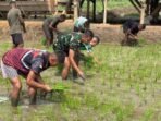 Inisiatif Pertanian Prajurit YTP 859/RBK untuk Kemandirian Pangan di Papua Inisiatif Pertanian Prajurit YTP 859/RBK untuk Kemandirian Pangan di Papua